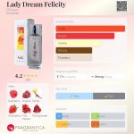 عطر ادکلن لیدی دریم فیلیسیتی دزینتارس - Lady Dream Felicity Dzintars - بررسی، قیمت و خرید