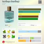 عطر ادکلن سرفینگ دزینتارس - Sērfings (Surfing) Dzintars - بررسی، قیمت و خرید
