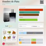 عطر ادکلن آمبره د پلتا دوسیس فراگرنسز - Hombre de Plata Dosis Fragrances - بررسی، قیمت و خرید