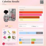 عطر ادکلن کابوتین روزالی گره - Cabotine Rosalie Grès - بررسی، قیمت و خرید