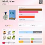 عطر ادکلن وی.سکی بلو اوافلور - Whisky Blue Evaflor - بررسی، قیمت و خرید