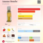 عطر ادکلن اموز بوش دی اس اچ پرفیومز - Amouse Bouche DSH Perfumes - بررسی، قیمت و خرید
