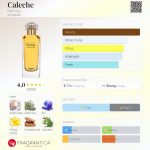 عطر ادکلن کالسکه اِرمِز - Caleche Hermès - بررسی، قیمت و خرید