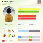 عطر ادکلن شامپاین جرمین مونتیل - Champagne Germaine Monteil - بررسی، قیمت و خرید