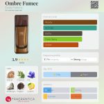 عطر ادکلن امبره فومه اودوی پرفیوم - Ombre Fumee Evody Parfums - بررسی، قیمت و خرید