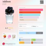 عطر ادکلن ادیسون هالیستر - Addison Hollister - بررسی، قیمت و خرید