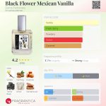 عطر ادکلن بلک فلاور مکزیکن وانیلا دام پرفیومری - Black Flower Mexican Vanilla Dame Perfumery - بررسی، قیمت و خرید