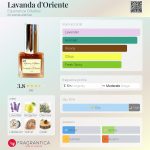 عطر ادکلن لاواندا دورینته اسپریینزه اولفکتیوه - Lavanda d'Oriente Esperienze Olfattive - بررسی، قیمت و خرید