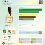 عطر ادکلن آتمی اسپریانزه اولفاتیوه - Attimi Esperienze Olfattive - بررسی، قیمت و خرید