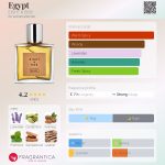 عطر ادکلن ایجپت ایت اند بوب - Egypt EIGHT & BOB - بررسی، قیمت و خرید