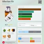 عطر ادکلن سایبِریَن فیر اِووکتیو پرفیومز - Siberian Fir Evocative Perfumes - بررسی، قیمت و خرید