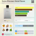 عطر ادکلن تر د هرمس متال فِلَکُن اِرمِس - Terre d'Hermes Metal Flacon Hermès - بررسی، قیمت و خرید