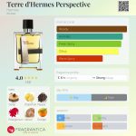 عطر ادکلن تر د هرمس پرسپکتیو ارمیس - Terre d'Hermes Perspective Hermès - بررسی، قیمت و خرید