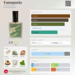 عطر ادکلن فاماگوستا اریک کورمان - Famagusta Erik Kormann - بررسی، قیمت و خرید