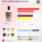 عطر ادکلن وایت ادیشن بلک کارنت گِریتی - White Edition Black Currant Gritti - بررسی، قیمت و خرید