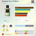 عطر ادکلن اسنس نامبر سیکس وتیور الی ساب - Essence No. 6 Vetiver Elie Saab - بررسی، قیمت و خرید