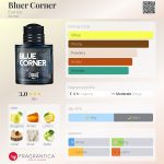 عطر ادکلن بلوئر کورنر اِوِرلاست - Bluer Corner Everlast - بررسی، قیمت و خرید