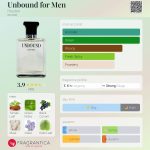 عطر ادکلن آن‌باند فور من هالستون - Unbound for Men Halston - بررسی، قیمت و خرید