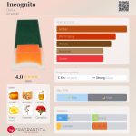عطر ادکلن اينکاگنيتو دانا - Incognito Dana - بررسی، قیمت و خرید