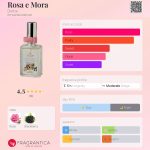 عطر ادکلن رزا مورا دربه - Rosa e Mora Derbe - بررسی، قیمت و خرید