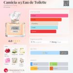 عطر ادکلن کمیچا ۱۱۳ او دو تویلت جیانفرانکو فره - Camicia 113 Eau de Toilette Gianfranco Ferre - بررسی، قیمت و خرید