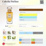 عطر ادکلن کالِش پارفوم اِرمِس - Caleche Parfum Hermès - بررسی، قیمت و خرید
