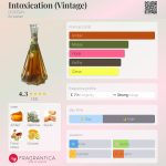 عطر ادکلن اینتاکسیکیشن وینتیج دورسه - Intoxication (Vintage) D’ORSAY - بررسی، قیمت و خرید