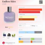 عطر ادکلن اندلس اسکایز هالیستر - Endless Skies Hollister - بررسی، قیمت و خرید
