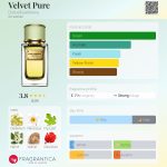 عطر ادکلن ولوت پیور دولچه گابانا - Velvet Pure Dolce&Gabbana - بررسی، قیمت و خرید