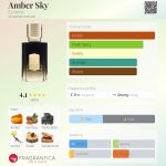 عطر ادکلن امبر اسکای ایکس نیلو - Amber Sky Ex Nihilo - بررسی، قیمت و خرید