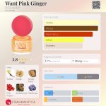 عطر ادکلن وانت پینک جینجر دی اسکوارِد - Want Pink Ginger DSQUARED² - بررسی، قیمت و خرید