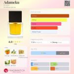 عطر ادکلن آدامکو دی سر - Adameku DI SER - بررسی، قیمت و خرید