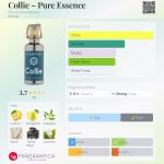 عطر ادکلن کالی – پیور اسنس برونو آکامپورا - Collie – Pure Essence Bruno Acampora - بررسی، قیمت و خرید