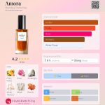 عطر ادکلن آمورا هندلی پرفیومز - Amora Hendley Perfumes - بررسی، قیمت و خرید