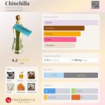 عطر ادکلن چینچیلا دی اِس اِچ پرفیومز - Chinchilla DSH Perfumes - بررسی، قیمت و خرید