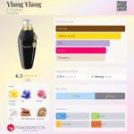 عطر ادکلن یِلَنگ یِلَنگ ای کودرای - Ylang Ylang E. Coudray - بررسی، قیمت و خرید