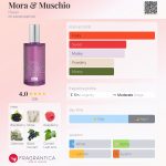 عطر ادکلن مورا و موسچیو هیلان - Mora & Muschio Helan - بررسی، قیمت و خرید