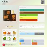 عطر ادکلن اولمو هلن - Olmo Helan - بررسی، قیمت و خرید