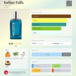 عطر ادکلن ایندیگو فالز هالیستر - Indigo Falls Hollister - بررسی، قیمت و خرید