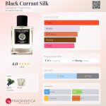 عطر ادکلن بلک کارنت سیلک گالاگر فراگرنس - Black Currant Silk Gallagher Fragrances - بررسی، قیمت و خرید