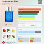 عطر ادکلن مید آو اینستینکت دیوید بکهام - Made of Instinct David Beckham - بررسی، قیمت و خرید