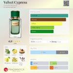 عطر ادکلن ولوت سایپرس دولچه گابانا - Velvet Cypress Dolce&Gabbana - بررسی، قیمت و خرید
