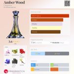 عطر ادکلن امبر وود الگانته‌س - Amber Wood Elegantes - بررسی، قیمت و خرید