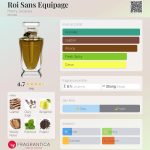 عطر ادکلن روی سانز اکویپاژ هنری جکس - Roi Sans Equipage Henry Jacques - بررسی، قیمت و خرید