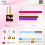 عطر ادکلن فیگا اِن وُیِج پِرفیومز - Figa En Voyage Perfumes - بررسی، قیمت و خرید