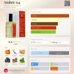 عطر ادکلن آمبر 114 هیستوار دو پارفوم - Ambre 114 Histoires de Parfums - بررسی، قیمت و خرید