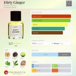 عطر ادکلن درتی جینجر هریتیک پرفیوم - Dirty Ginger Heretic Parfum - بررسی، قیمت و خرید