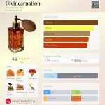 عطر ادکلن دیونکارنیشن آنته نویفر - Divincarnation Annette Neuffer - بررسی، قیمت و خرید