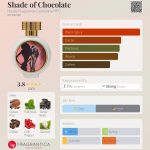 عطر ادکلن شید آو چاکلت اوت فراگرنس کامپنی اچ اف سی - Shade of Chocolate Haute Fragrance Company HFC - بررسی، قیمت و خرید