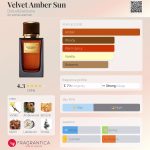 عطر ادکلن ولوت امبر سان دولچه گابانا - Velvet Amber Sun Dolce&Gabbana - بررسی، قیمت و خرید